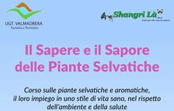 Il Sapere e il Sapore delle Piante Selvatiche