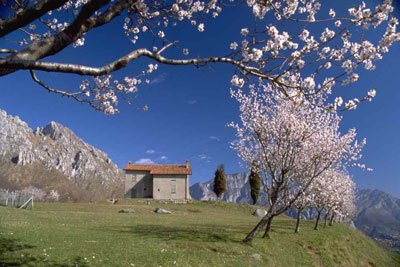 San Tomaso a Valmadrera